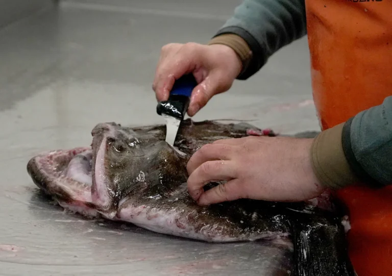 christina kebbit monkfish