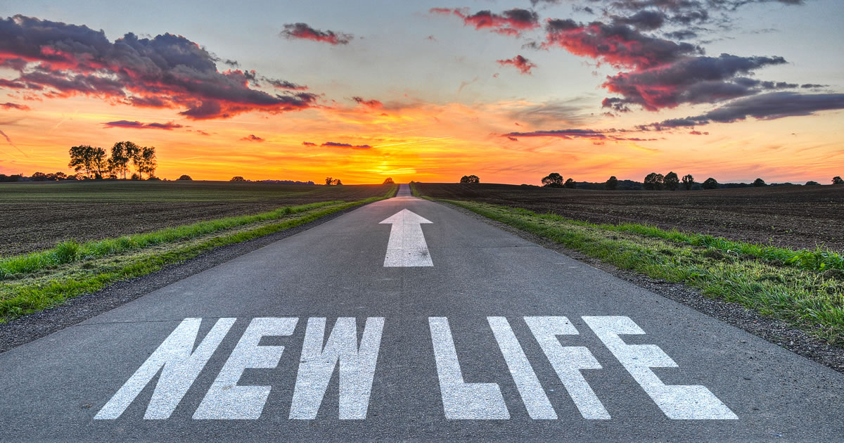 newlife2